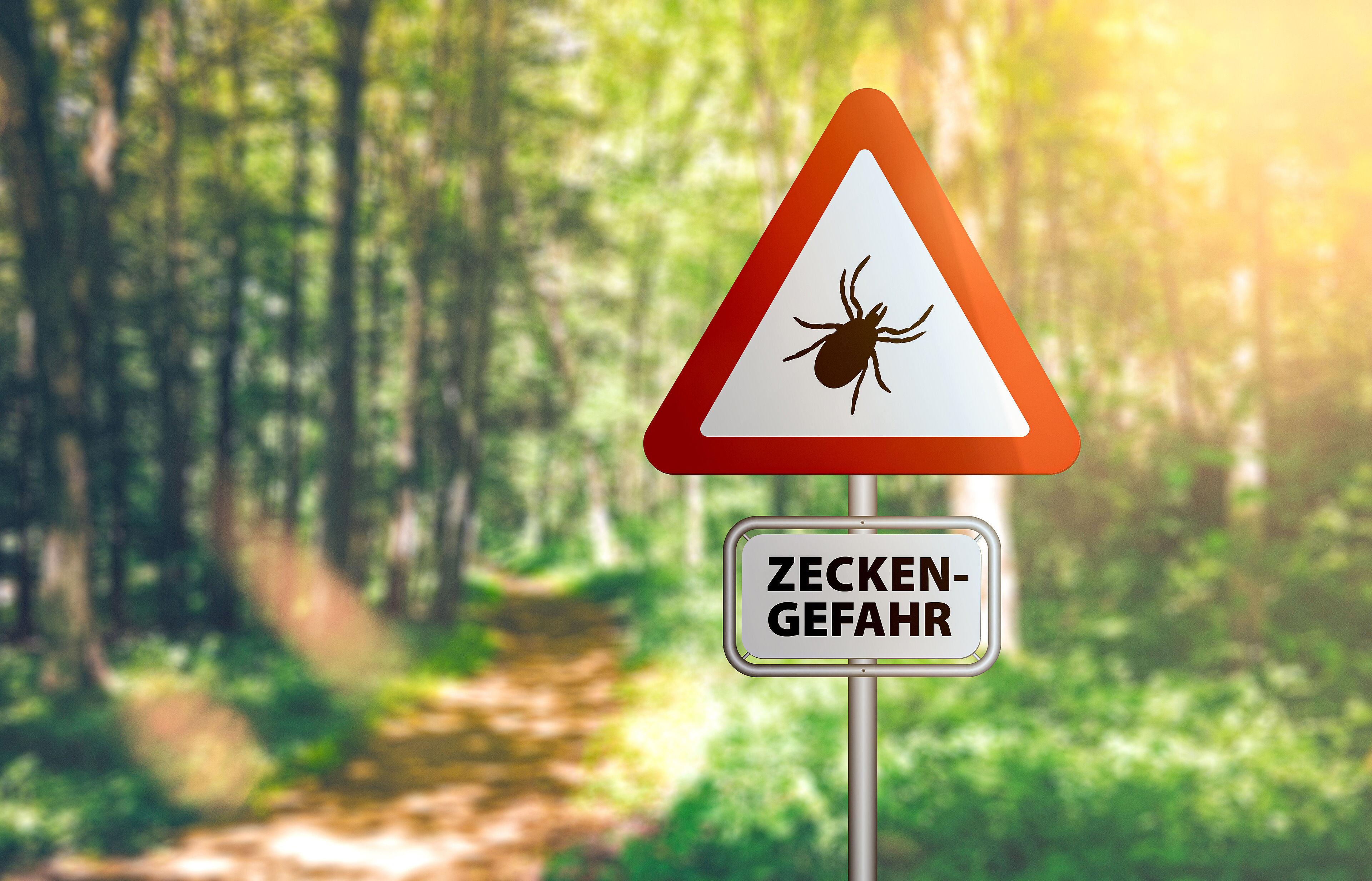 warning sign with text ZECKEN GEFAHR, German for beware of ticks