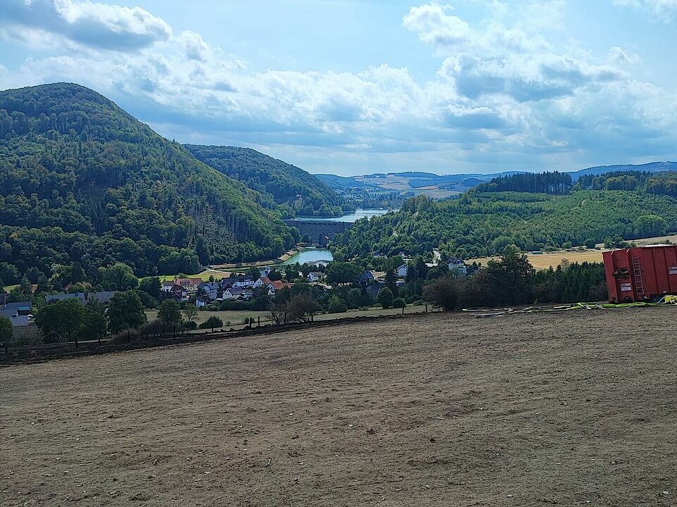 verbrannte Fläche